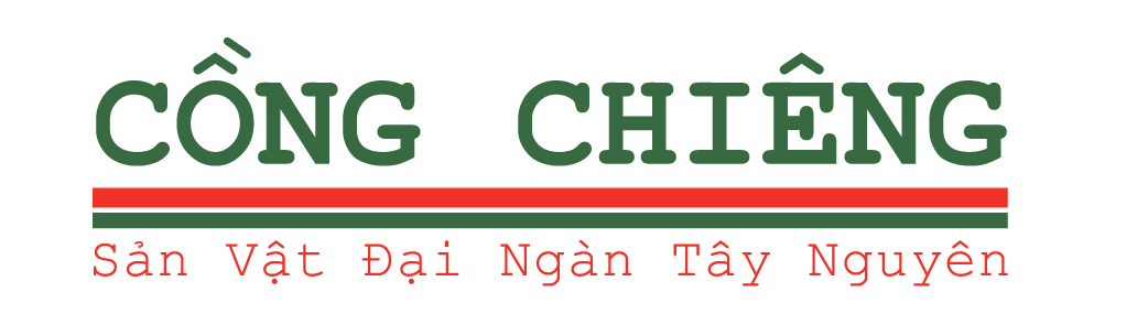 Cồng Chiêng Shop